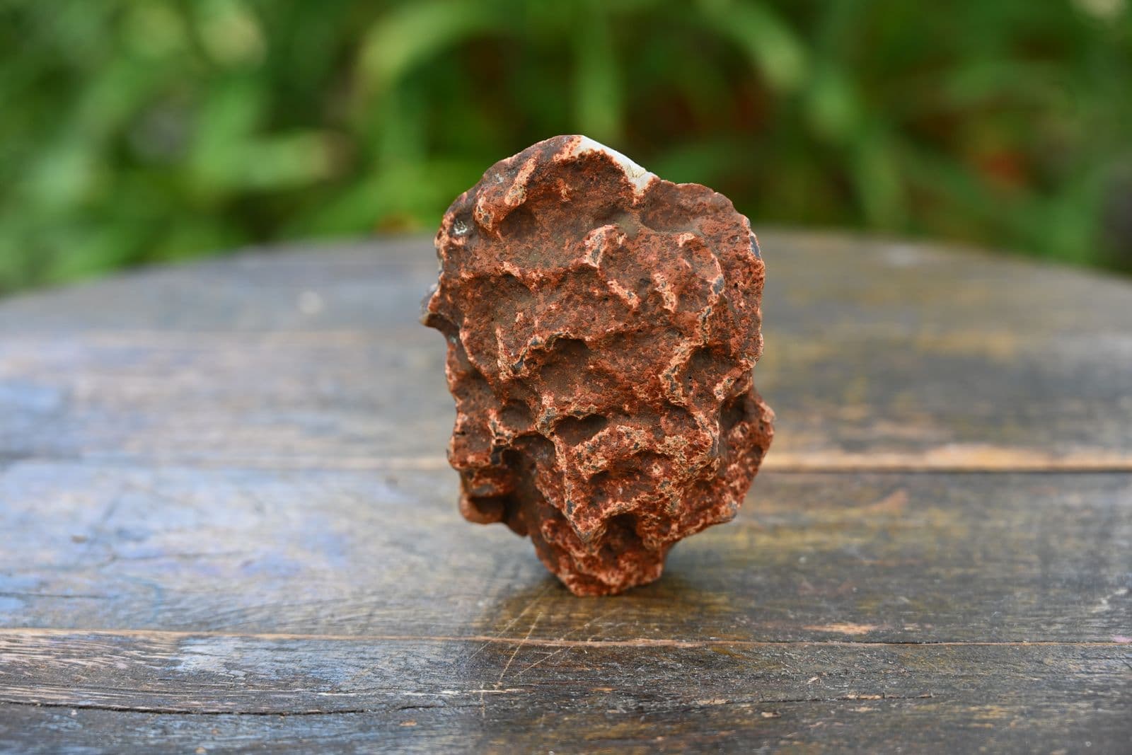 Banded Agate Geode Half — view 2