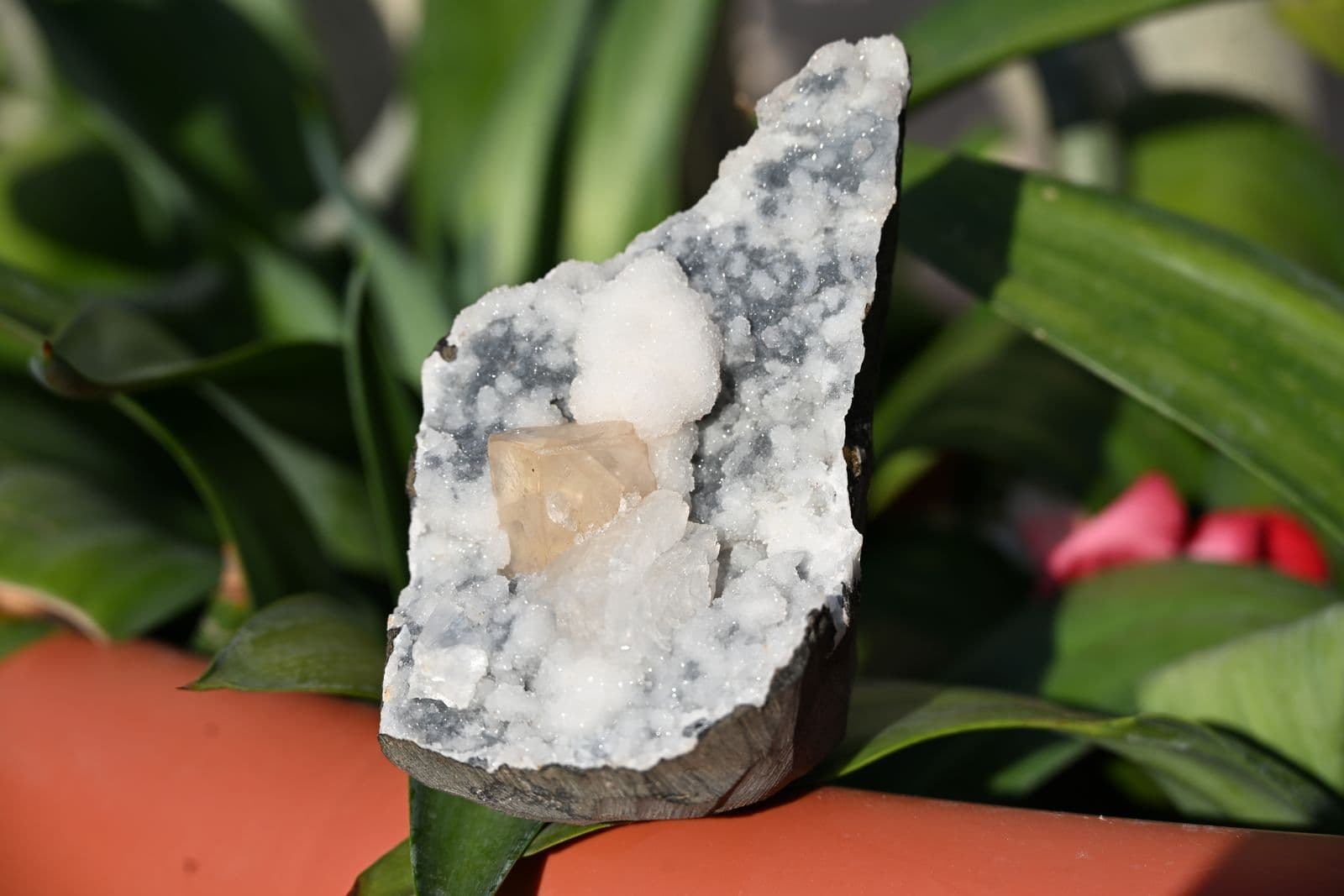 Golden Calcite on Quartz Druzy in Basalt Geode — view 2