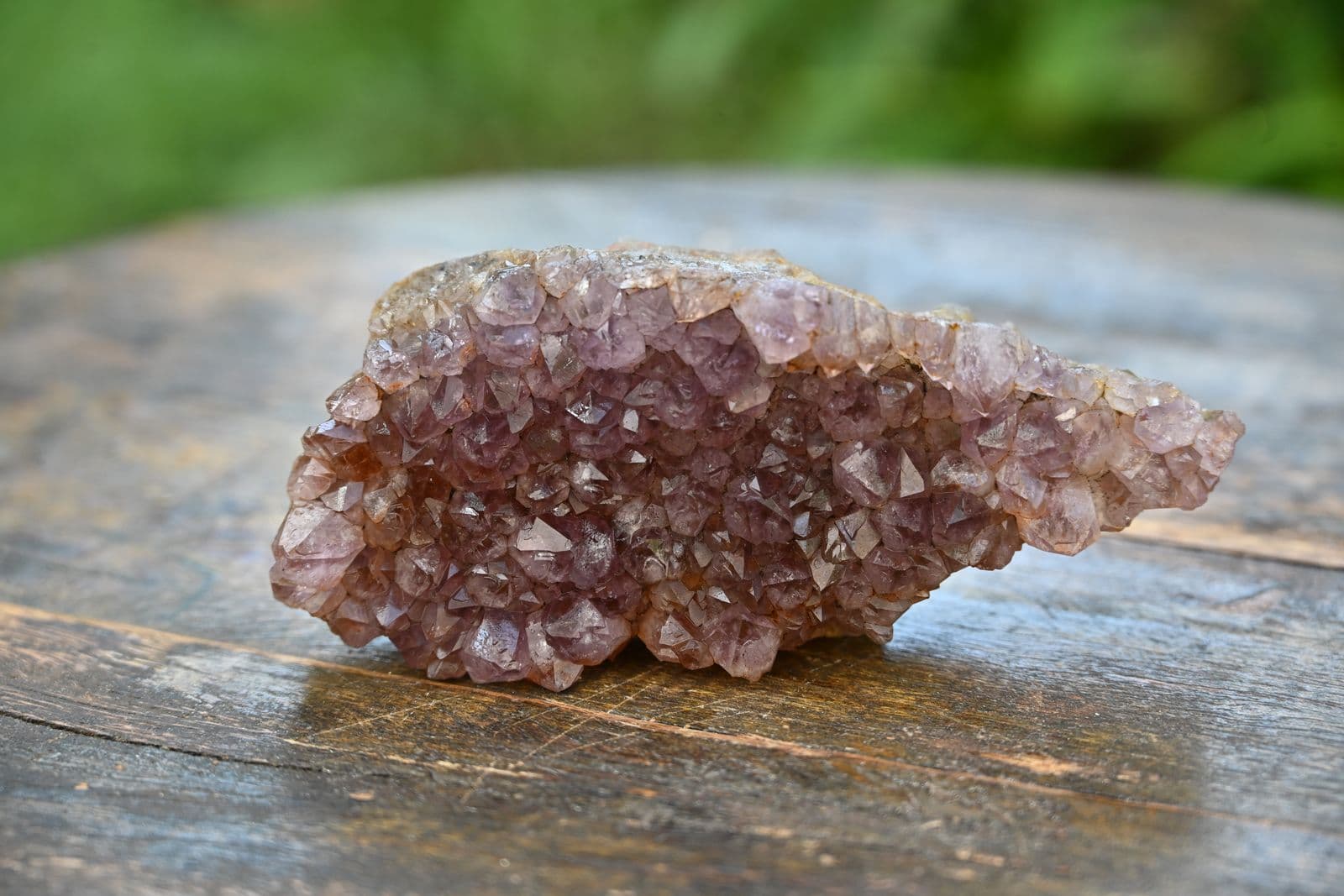 Amethyst Drusy Cluster on Iron Matrix — view 5